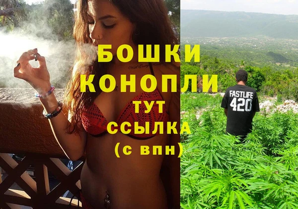 apvp Няндома
